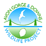 Avon Gorge and Downs Project